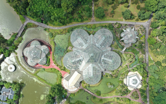 广州华南植物园。来源：视觉中国